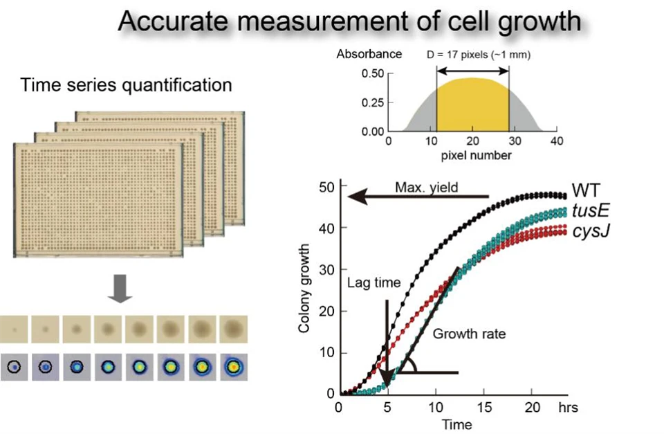 Fully Automatic Microbial Growth Dynamic Monitor2